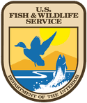 Blackwater National Wildlife Refuge