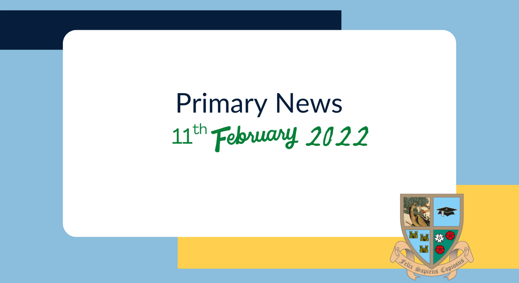 110222 primary news