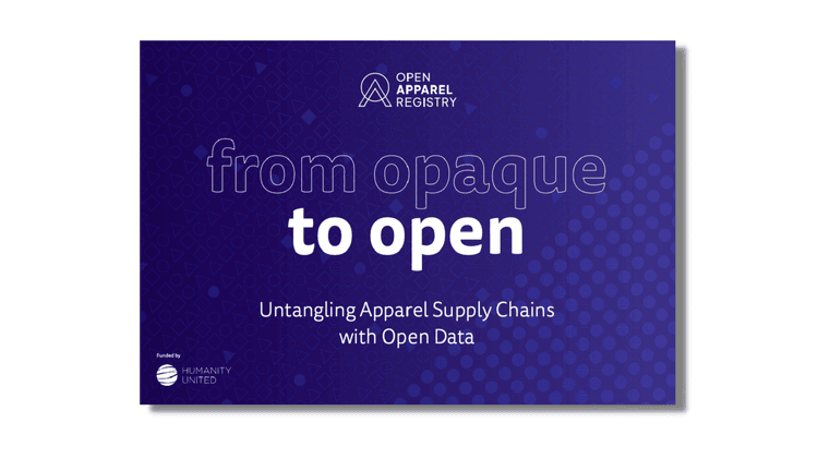 Picture shows the title page of the report 'From Opaque to Open'