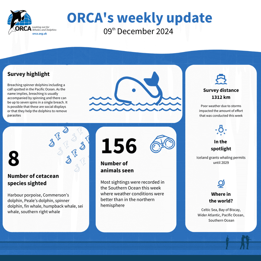 Orca Status ORCA | Here is our weekly snapshot summary of where ORCA has been and…