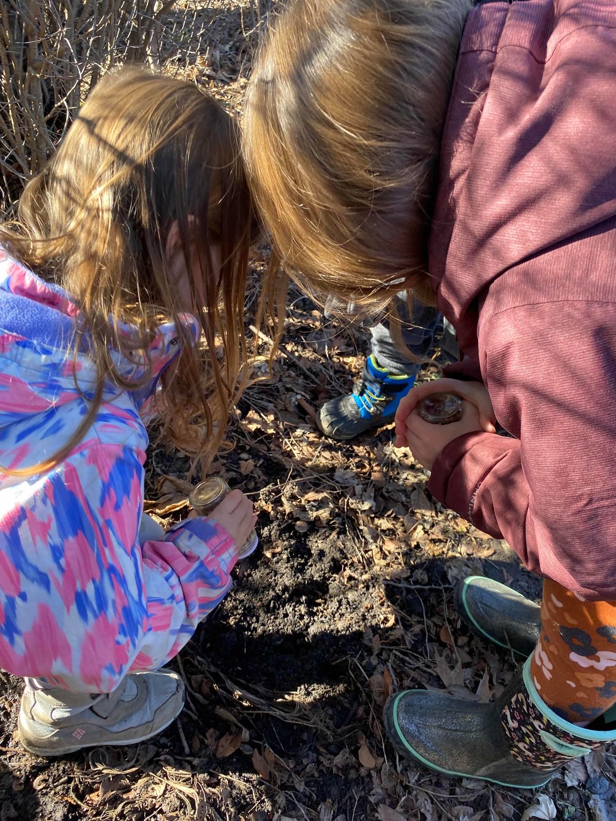 Farmschool2