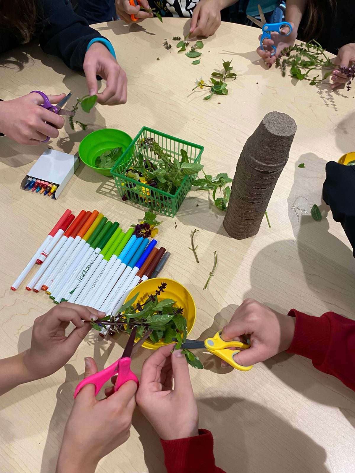 Farmschool4
