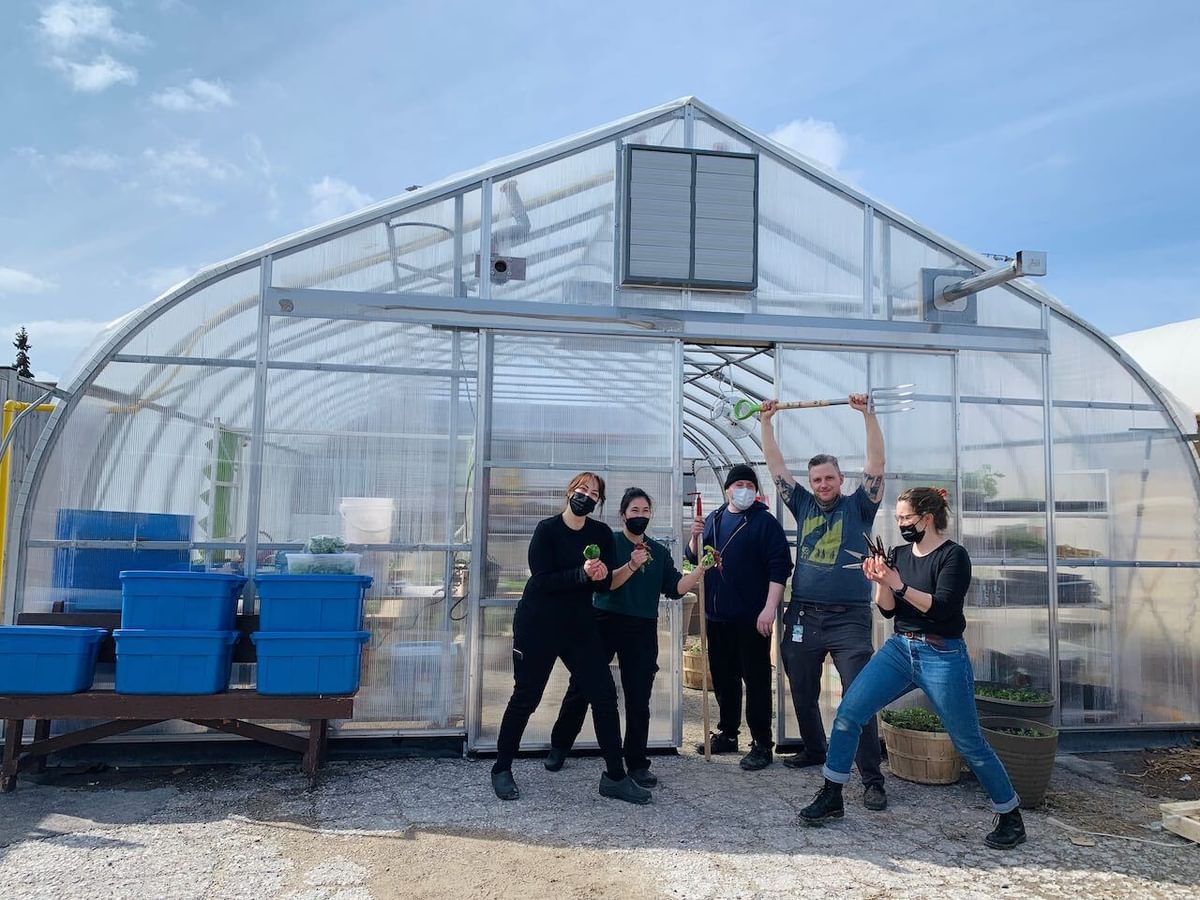Greenhouse11