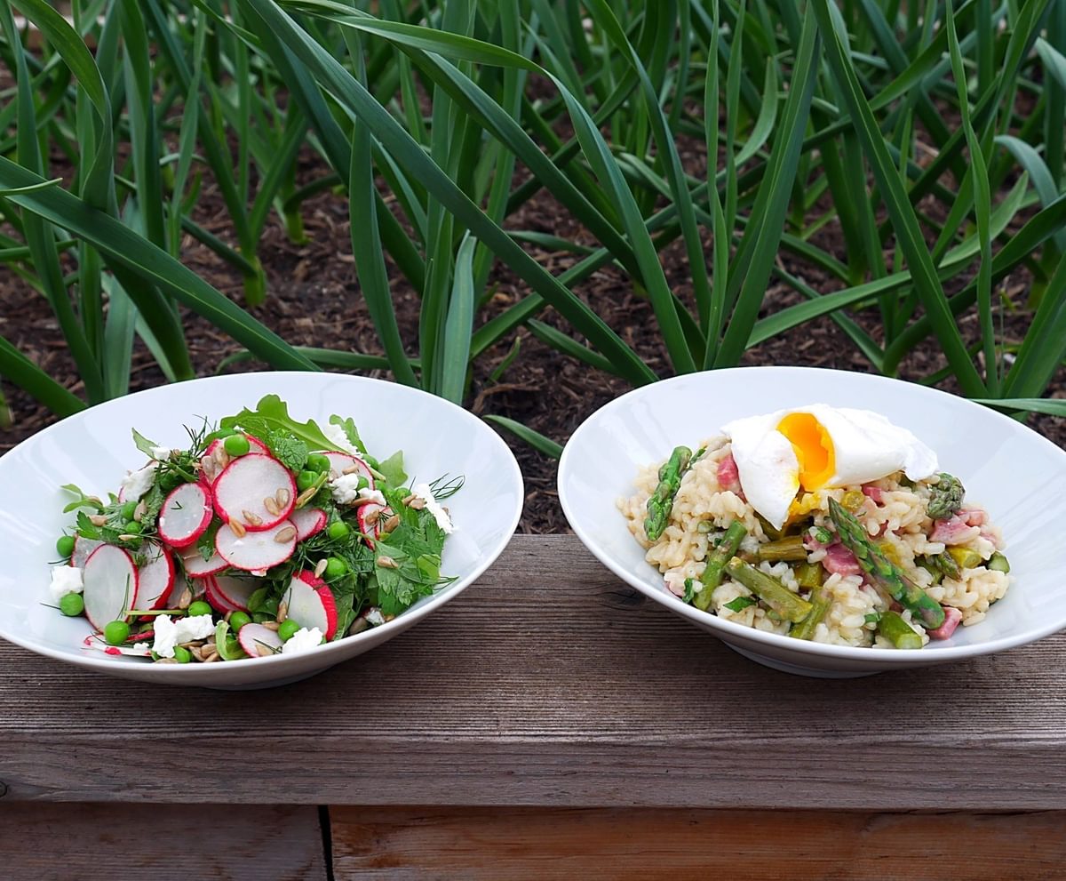 Webinar 2021 salad and risotto