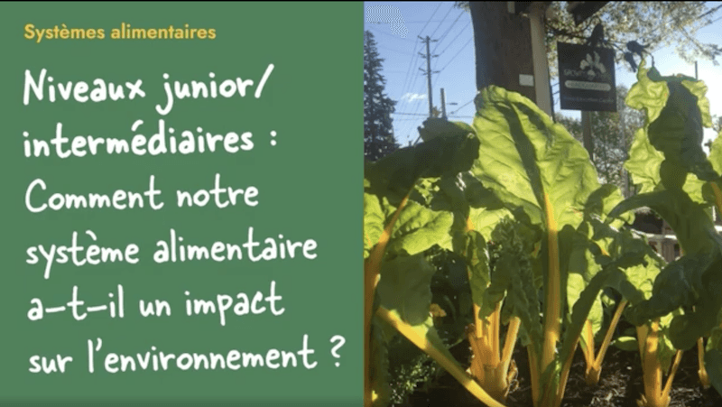 Systèmes alimentaires - 4e à la 8e années