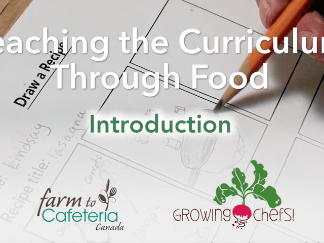 Teaching the Curriculum Through Food: Introduction