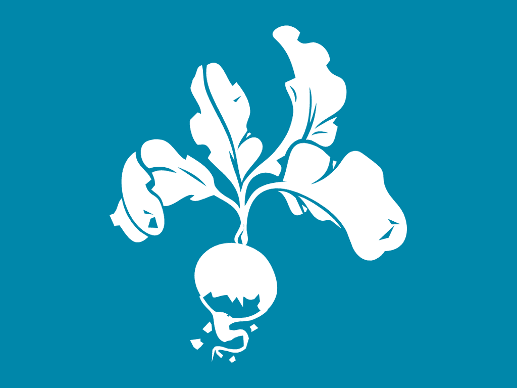 Yellow Kids Green Breakfast Blue lunch Purple dinner Red snack black dessert white fundmentals