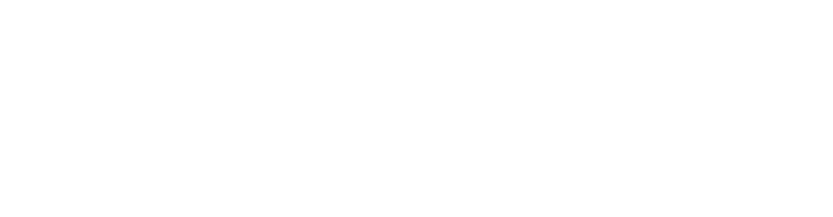 BRINK Custom logo 01