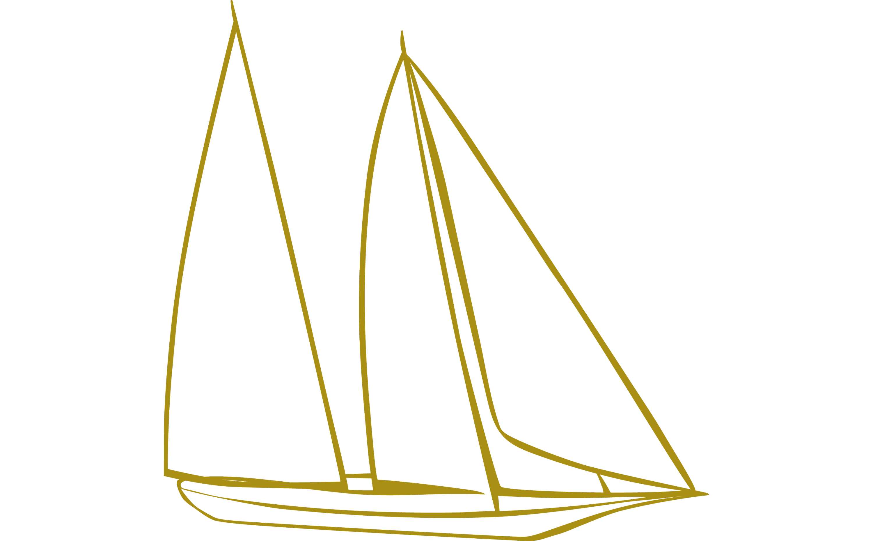 sailing catamaran cornwall