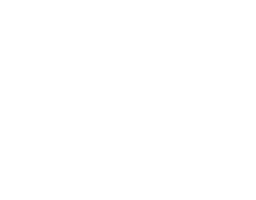About LT Partners
