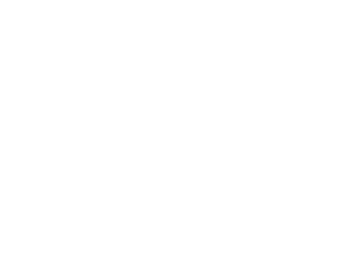 About Acorn Influence
