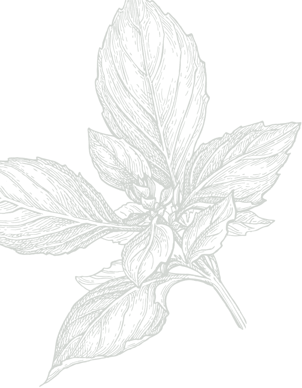 Illustration 16