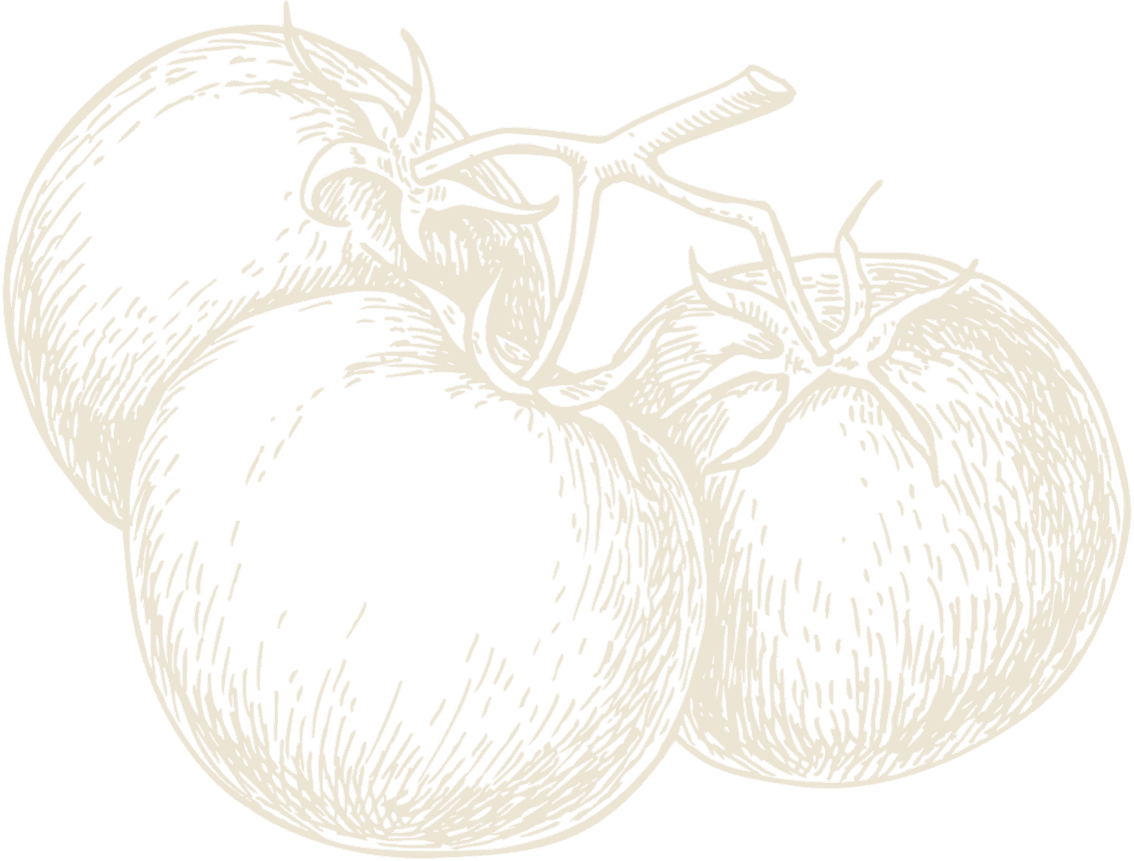 Illustration tomatoes