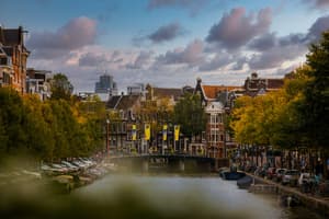 20221023 tomdoms 0092350