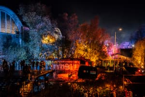 Herfst Drift2019 TB 8421