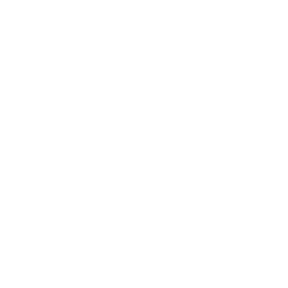 Beretta Logo 121318 29