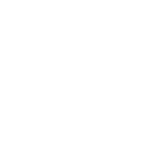Oiselle Logo 121318 90