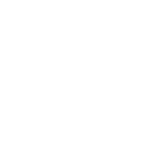 POLR 0530 Partner Logo Stone Island