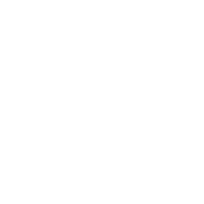 Polartec Web Sized logos Globe