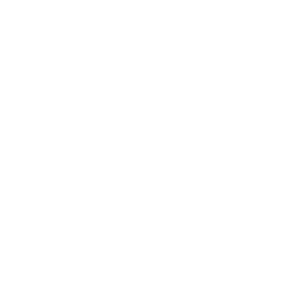 Jack wolfskin logo shop