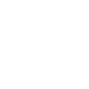 Polartec Web Sized logos Military Issue