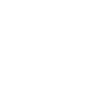 Polartec Web Sized logos Reigning Champ