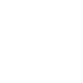Polartec Web Sized logos Roark1