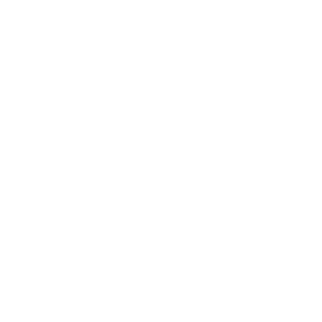 Polartec Web Sized logos Slam