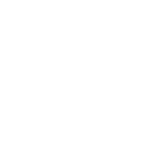 Salewa Logo 121318 89