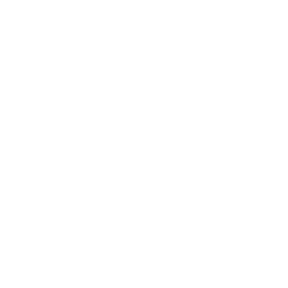 Santini Logo 121318 145