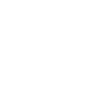 Snow leader
