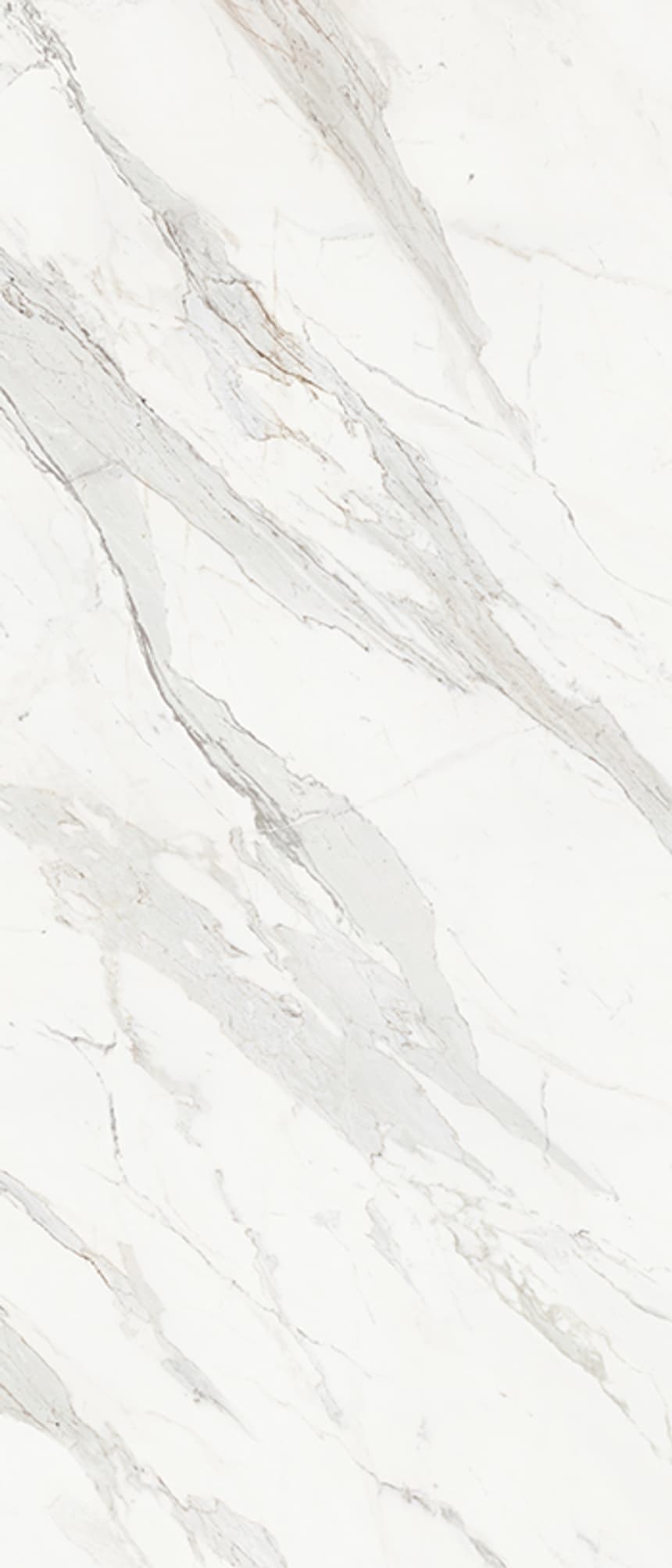 Calacatta Borghini
