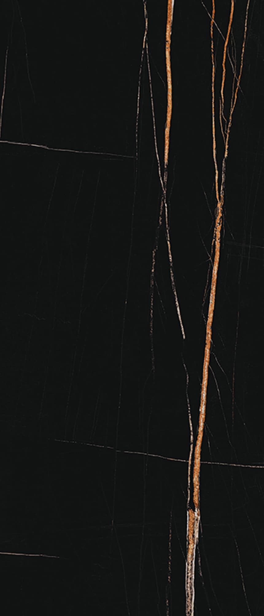 Sahara Noir