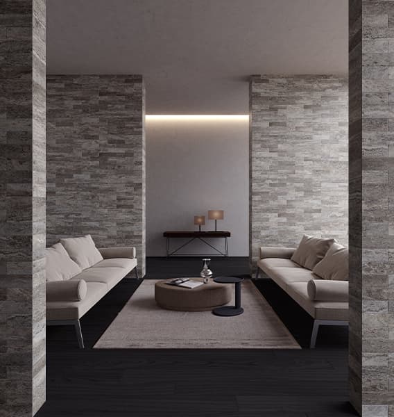 SILVER ASH
