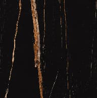 Sahara Noir