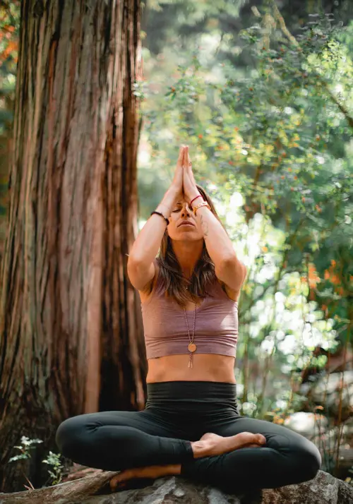 Pranify Yoga roots thumb