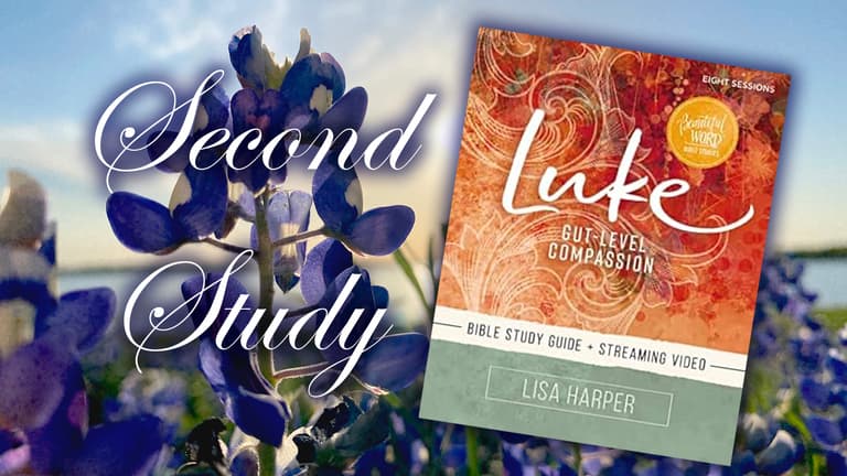 2025 Study Luke 2nd