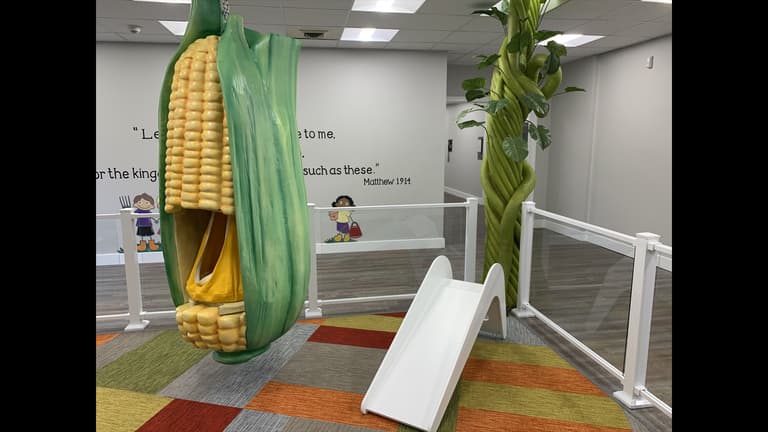 Garden corn and slide 2