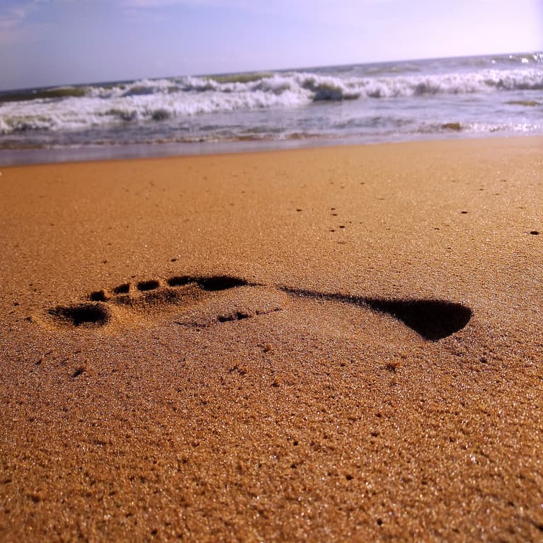 Ocean Footprint 1