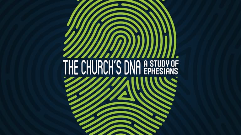 The Churchs DNA Summer2022 Sun Night Series title