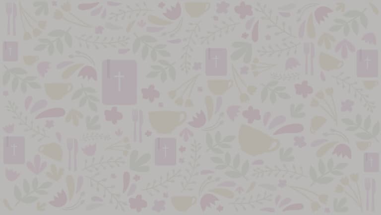 Springteaillustrations muted