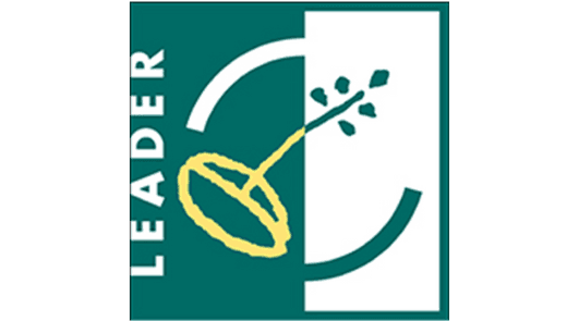 Leader logo 1