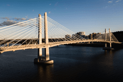 The Tilikum Crossing Bridge which is a white colored cable-stayed bridge that is crossing the Willamette River in Portland, Oregon