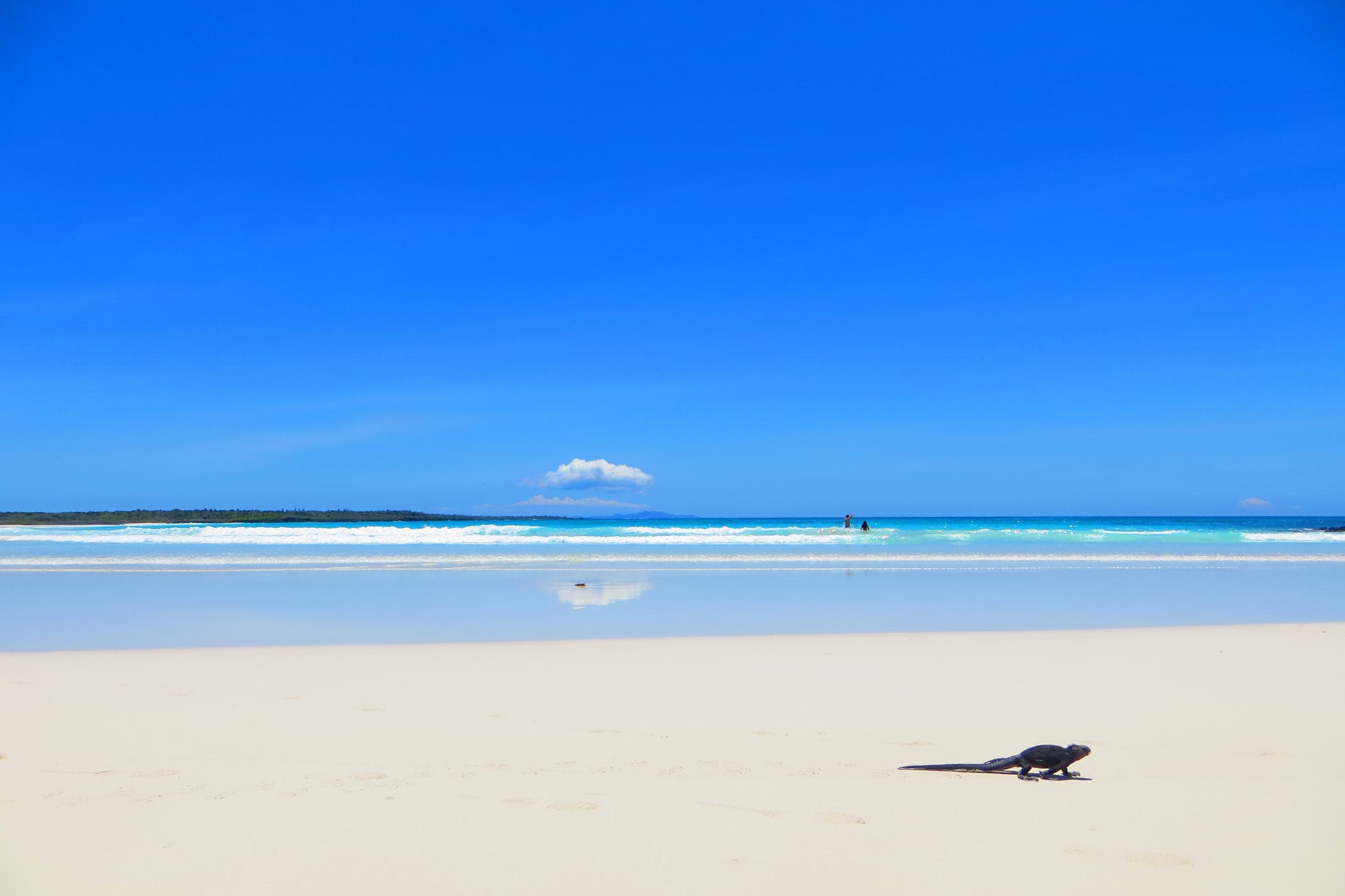 Galapagos beach scene credit Michael Edey Pura Aventura 1