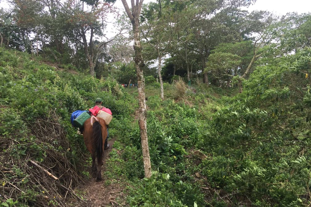 Nicaragua walking in coffee hills copyright Emma Bye Pura
