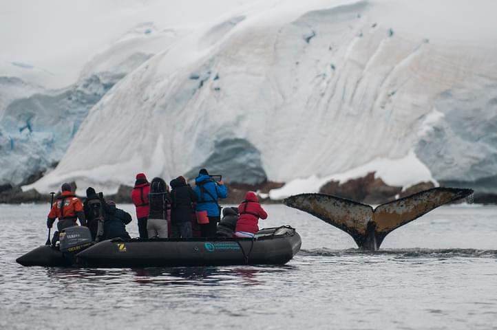 Antarctica basecamp whale fluke c Morten Skovgaard Photography Oceanwide Expeditions