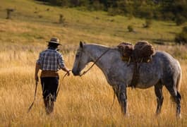 Argentina calafate estancia nibepo aike gaucho horse