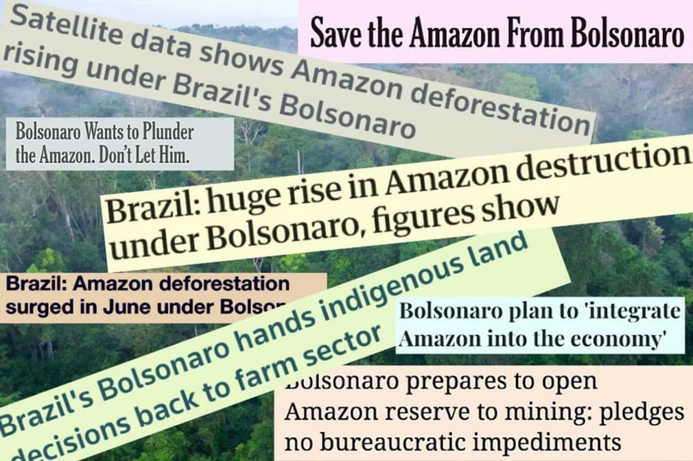Brazil amazon bolsonaro 1