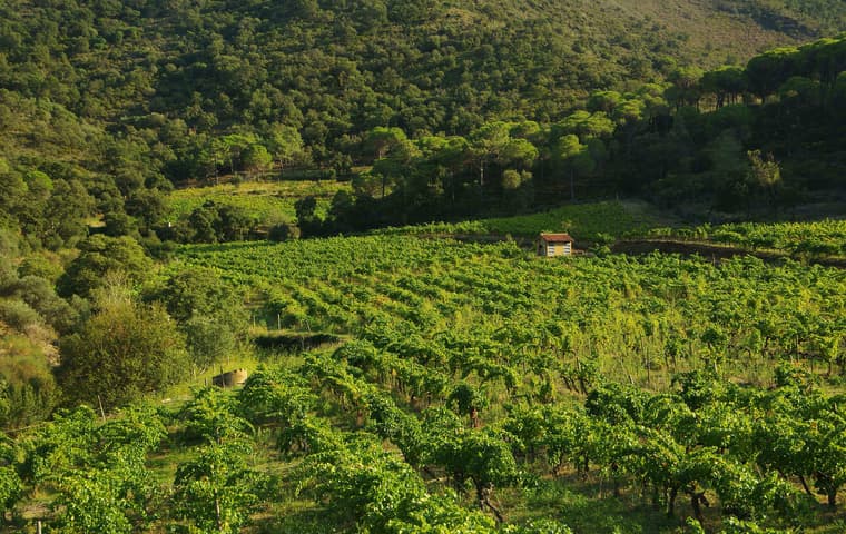 Catalonia travel guide food wine