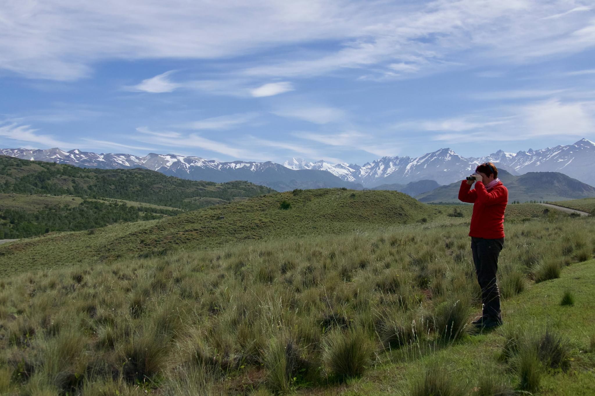 Chile patagonia carretera austral parque patagonia woman watching birds
